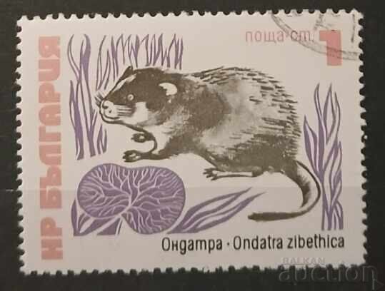 Βουλγαρία 1973 Φαύνα Βουλγαρία 1973 Φαύνα