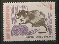 Βουλγαρία 1973 Φαύνα