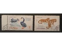 Romania 1964 Fauna/Birds