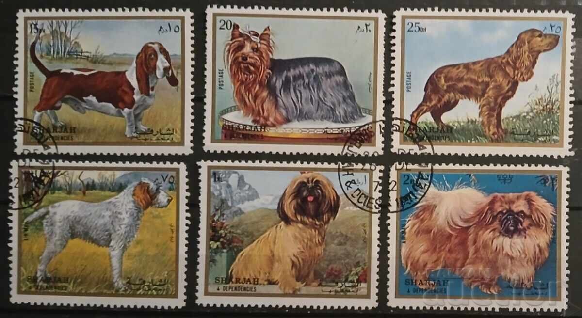 EAU/Sharjah 1972 Faună/Câini