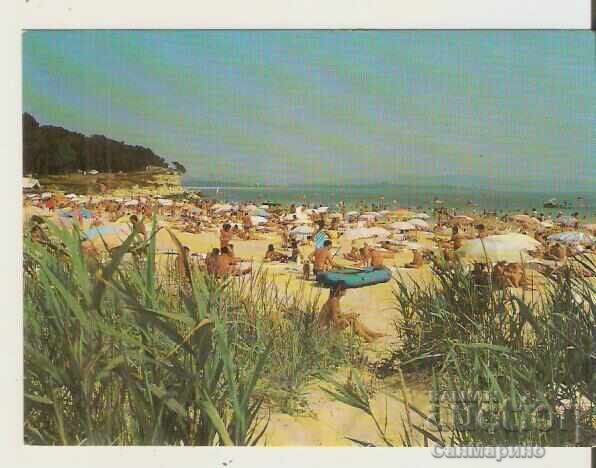 Κάρτα Βουλγαρία Αχτόπολη Camping "Δελφίν" 4* Κάρτα Βουλγαρία Αχτόπολη Camping "Δελφίν" 4*