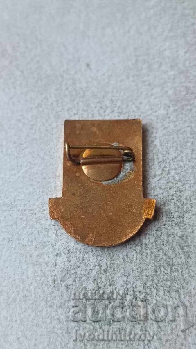 Insigna DIP Telman cu preț 4.85 BGN | € 2.48