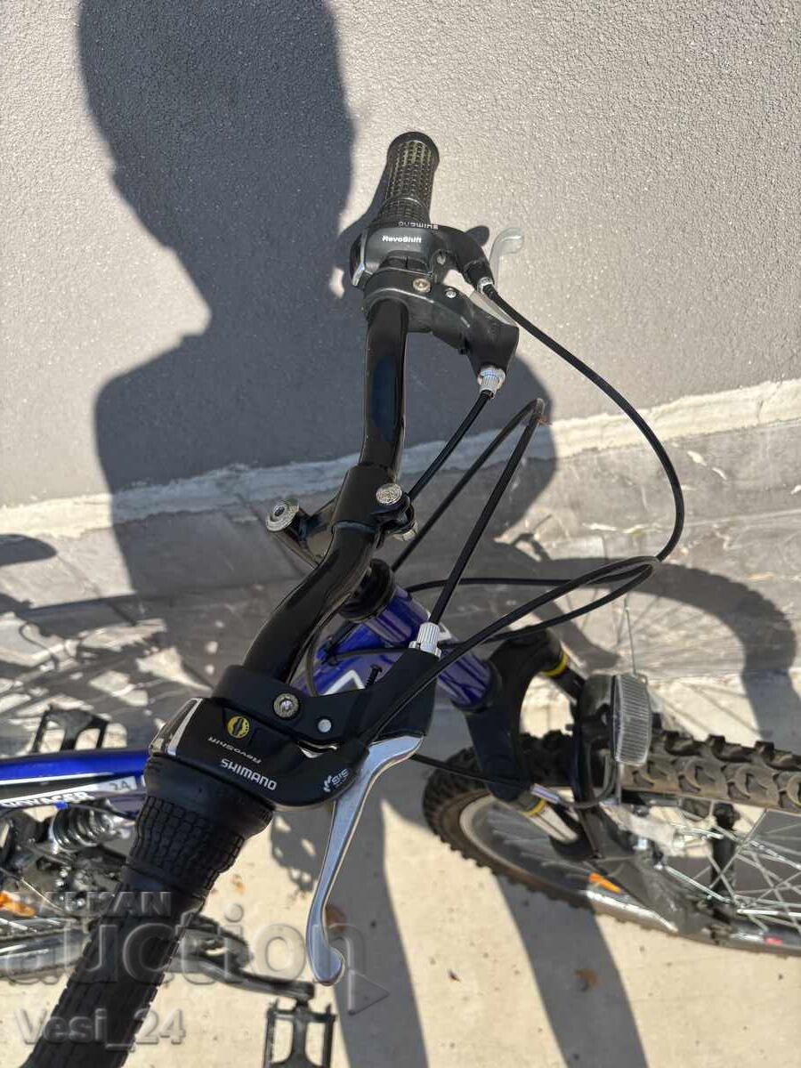 Livrarea Bicicletă 24 țoli Livrarea Bicicletă 24 țoli