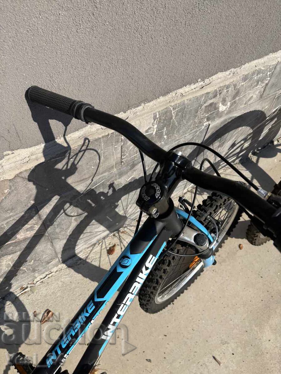 Auction  20-inch Bicycle