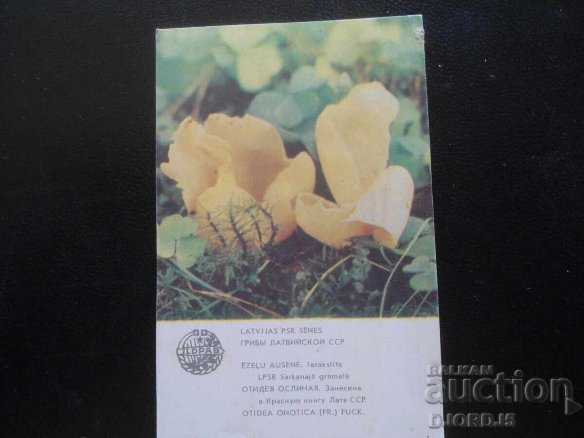 Calendar vechi rusesc, 1986, Grădinița RSS Letonă Calendar vechi rusesc, 1986, Grădinița RSS Letonă