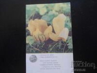 Calendar vechi rusesc, 1986, Grădinița RSS Letonă