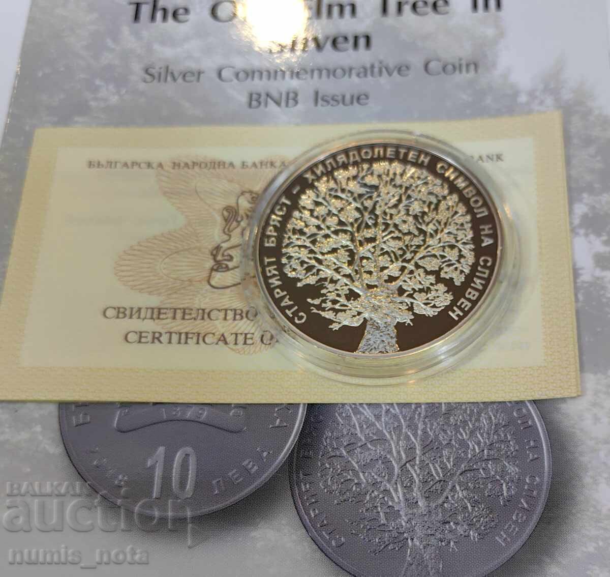 10 BGN 2018 The Old Elm din Sliven - 5 10 BGN 2018 The Old Elm din Sliven - 5