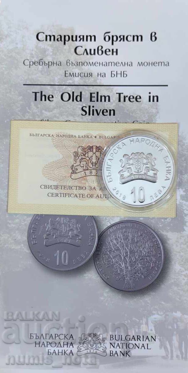 10 BGN 2018 The Old Elm din Sliven - 6 10 BGN 2018 The Old Elm din Sliven - 6