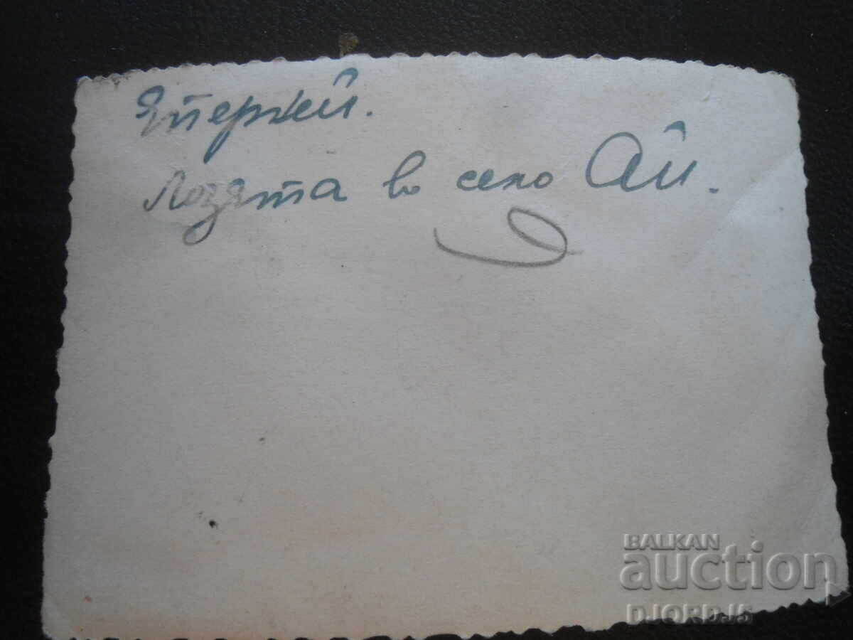 Auction  Old photo, The Vineyards in the village