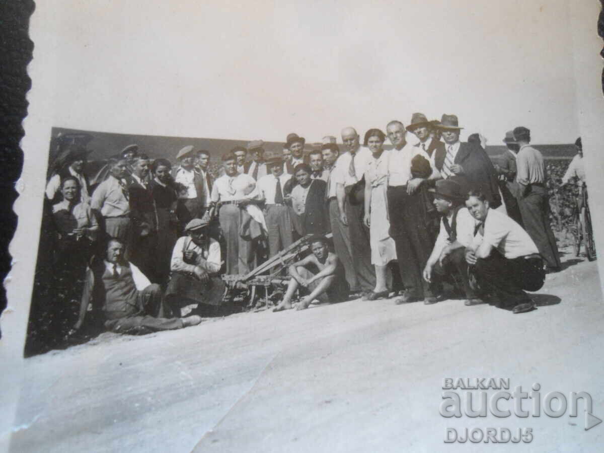 Old photo, The Vineyards in the village