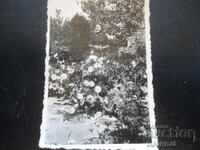 Παλιά φωτογραφία, 22 Σεπτεμβρίου 1944, χωριό Βινογκράντετς