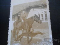 Old photo, For the cellar, IV. 1943, village Vinogradec