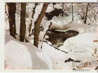 Картичка  България  Зимен пейзаж 8*