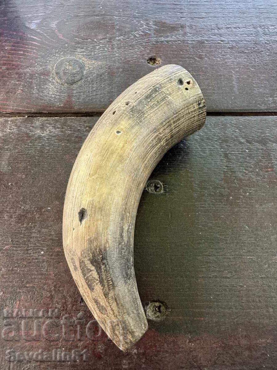 Horned powder keg Horned powder keg