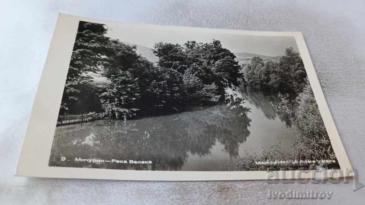 Ταχυδρομική κάρτα Μιτσουρίν Ρέμα Βελέκα