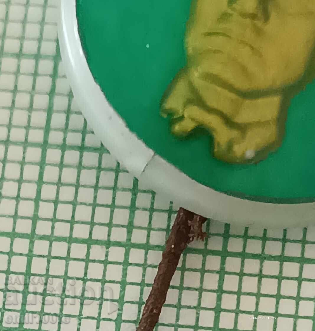 Delivery of Badge - Vasil Levski Delivery of Badge - Vasil Levski