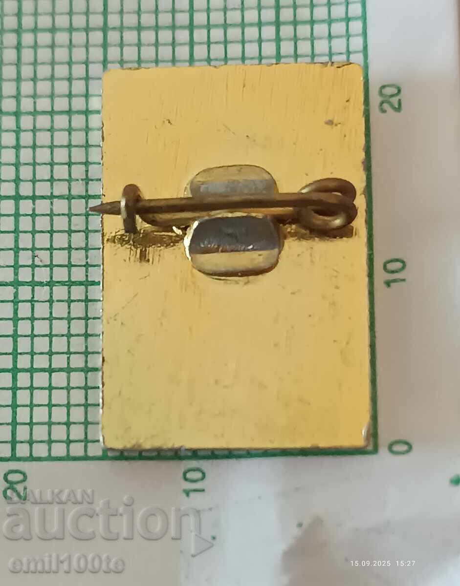 Delivery of Badge - Nikola Vaptsarov