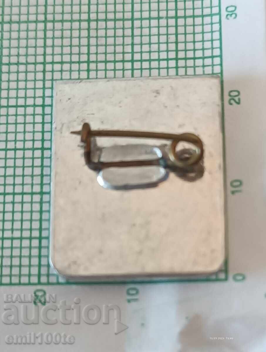 Delivery of Badge - Veliko Tarnovo