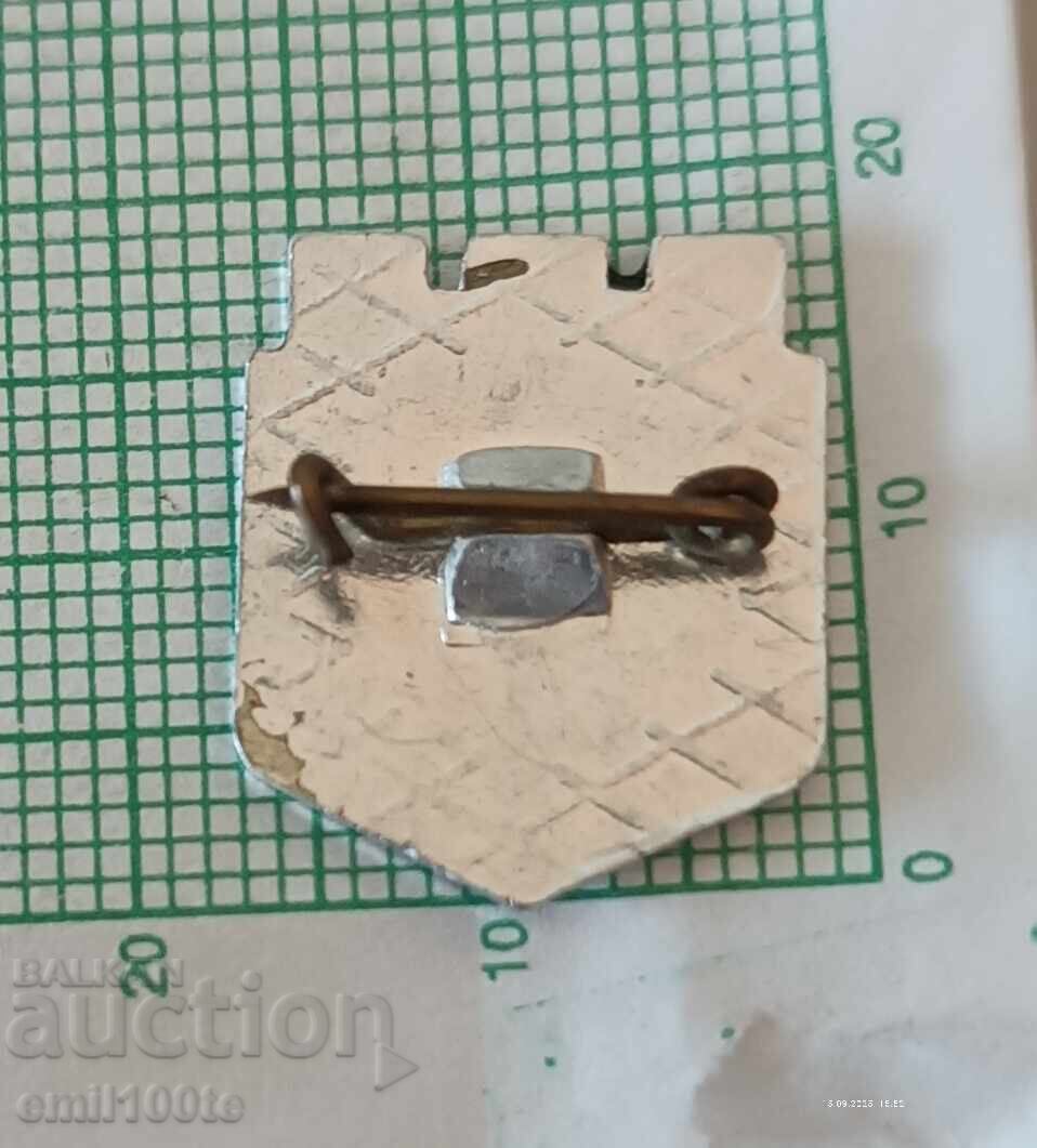 Livrarea Insigna - stema Varna