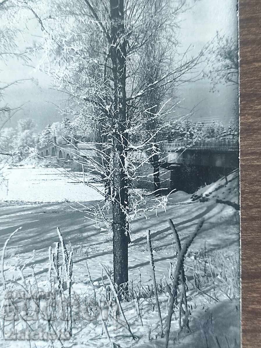 Пощенска карта Царство България  - с цена 20.00 лв. | € 10.23