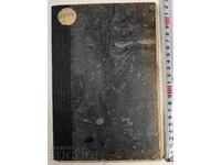 On the Activities of the Supreme Medical Council in the Year 1904