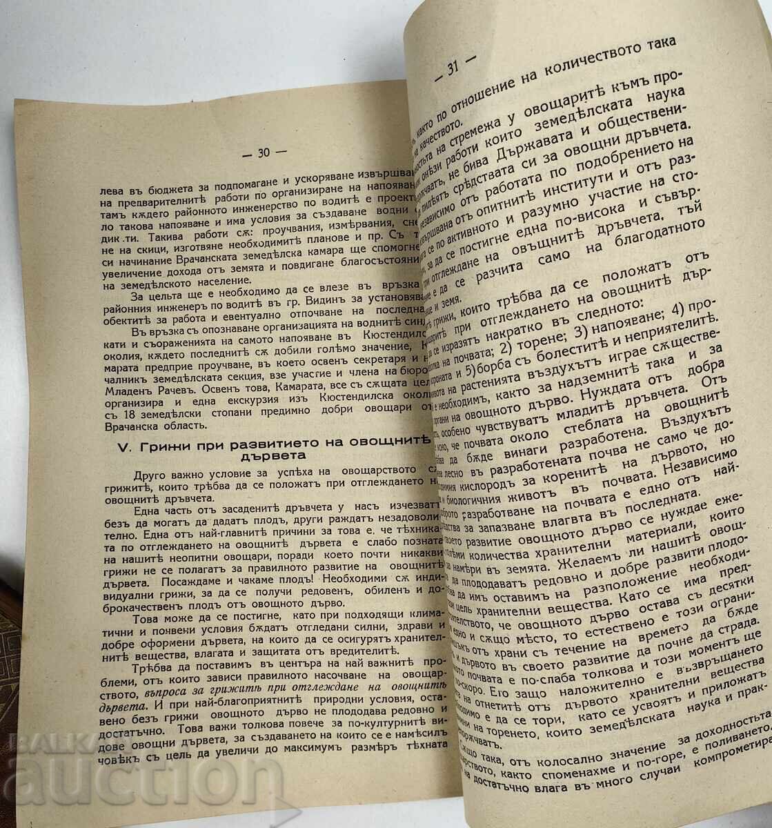 Οπωροκαλλιέργεια στην περιοχή της Βράτσα και μέτρα για τη βελτίωσή της - 6 Οπωροκαλλιέργεια στην περιοχή της Βράτσα και μέτρα για τη βελτίωσή της - 6
