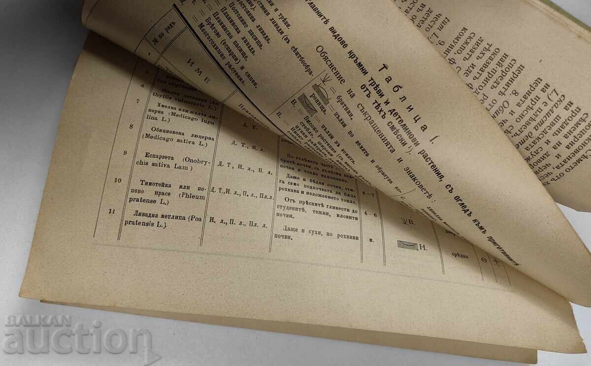 Pregătirea și cultivarea amestecurilor de graminee, anul 1911 - 6