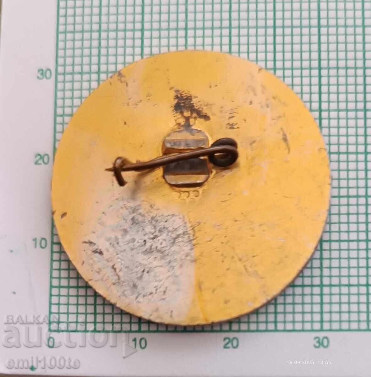 Livrarea Insigna - Revizuire regională a activităților artistice de amatori