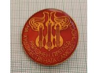 Insigna - Revizuire regională a activităților artistice de amatori