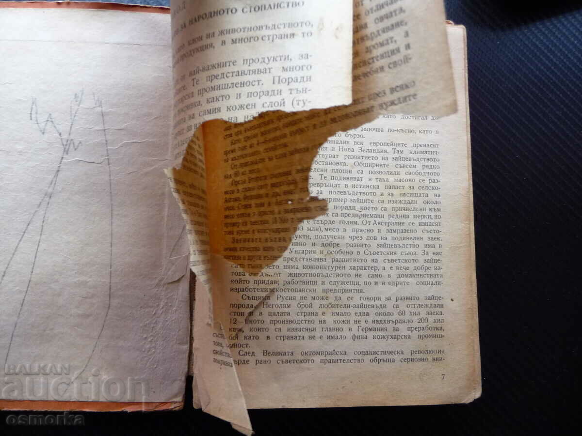 Rabbit breeding R. Balevska, St. Raichev rabbits home farms with price 0.01 BGN | € 0.01