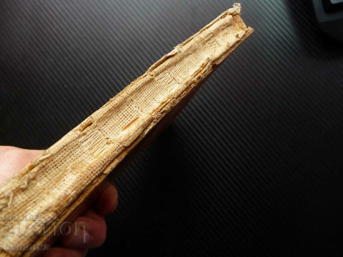 Rabbit breeding R. Balevska, St. Raichev rabbits home farms - 5