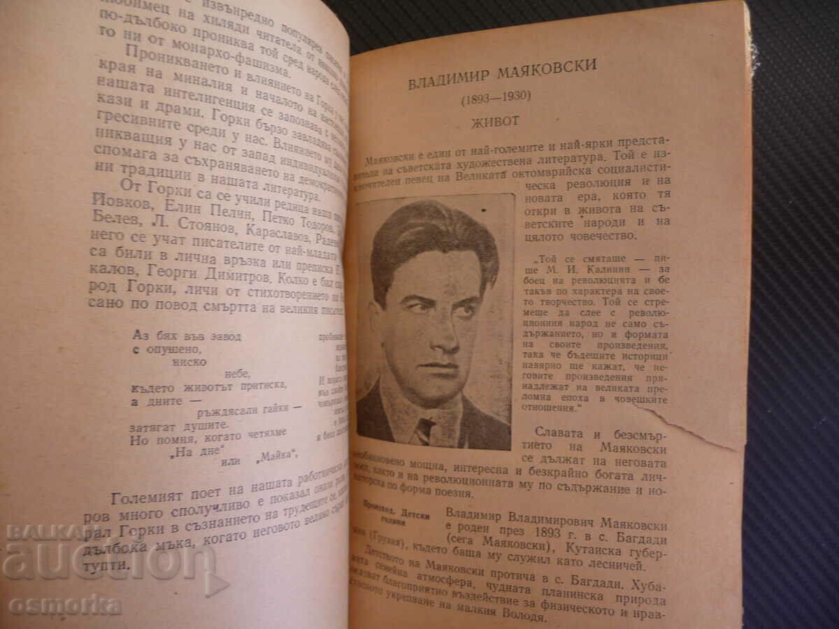 Auction  Literature for 11th grade for general education schools Russian