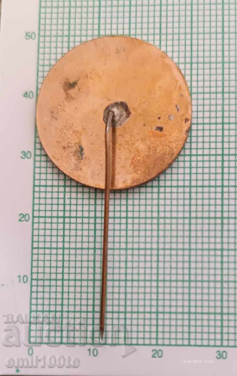 Delivery of Badge - 100 years of the April Uprising