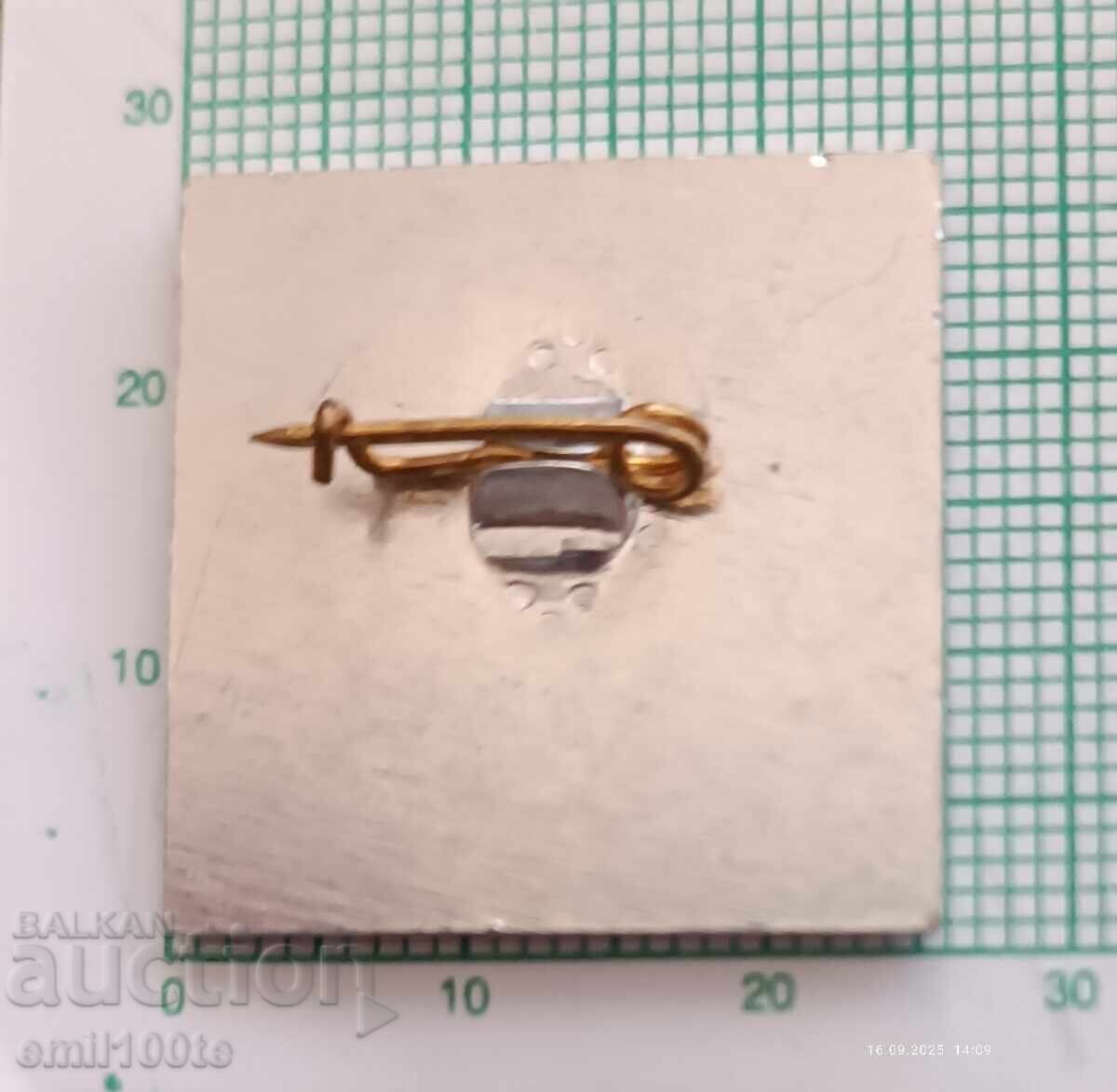 Значка- Нагледна агитация 86 - 6