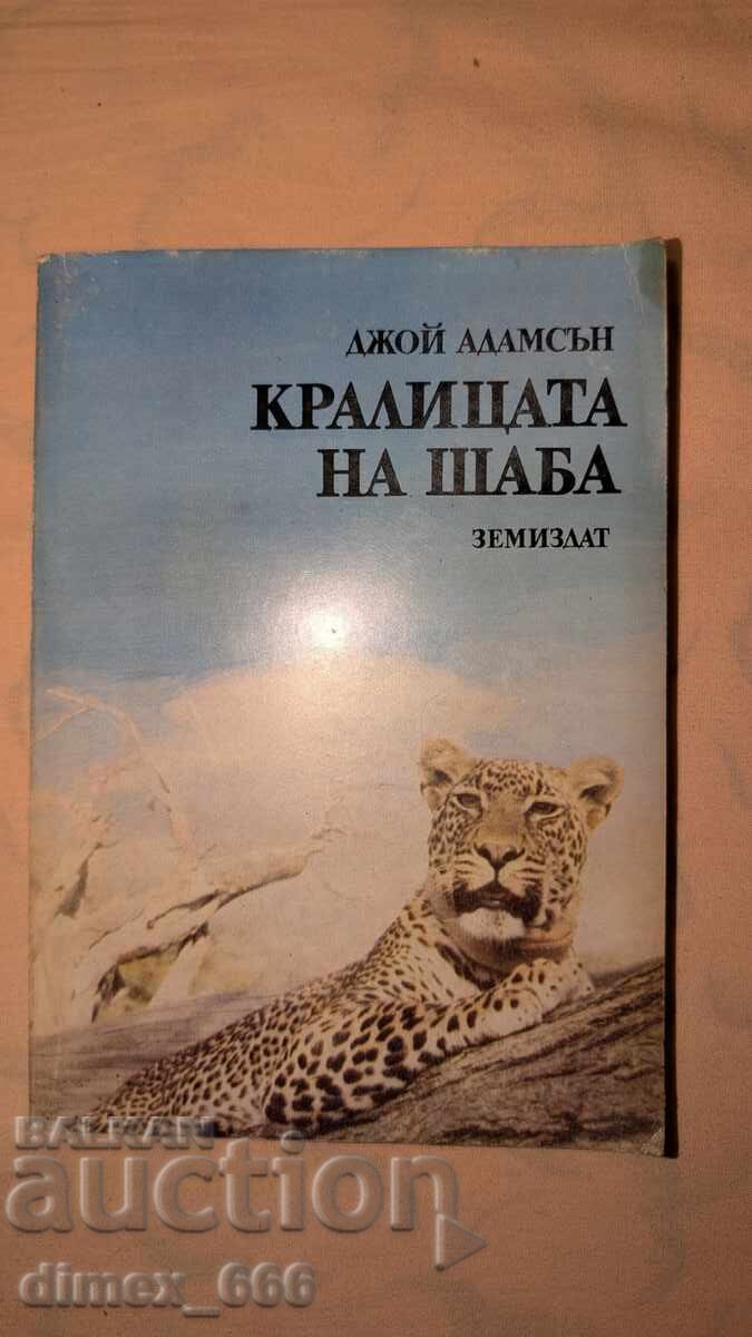 Kralitsata na Shaba	Dzhoy Adamsyn