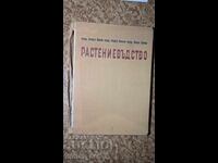 Rastenievydstvo	Atanas Popov, Kiril Pavlov, Pavel Popov