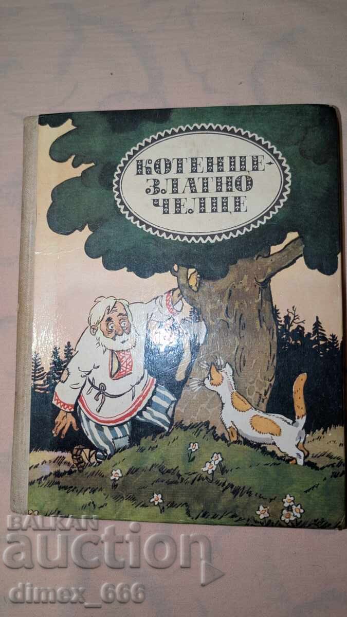 Golden kitten Golden kitten