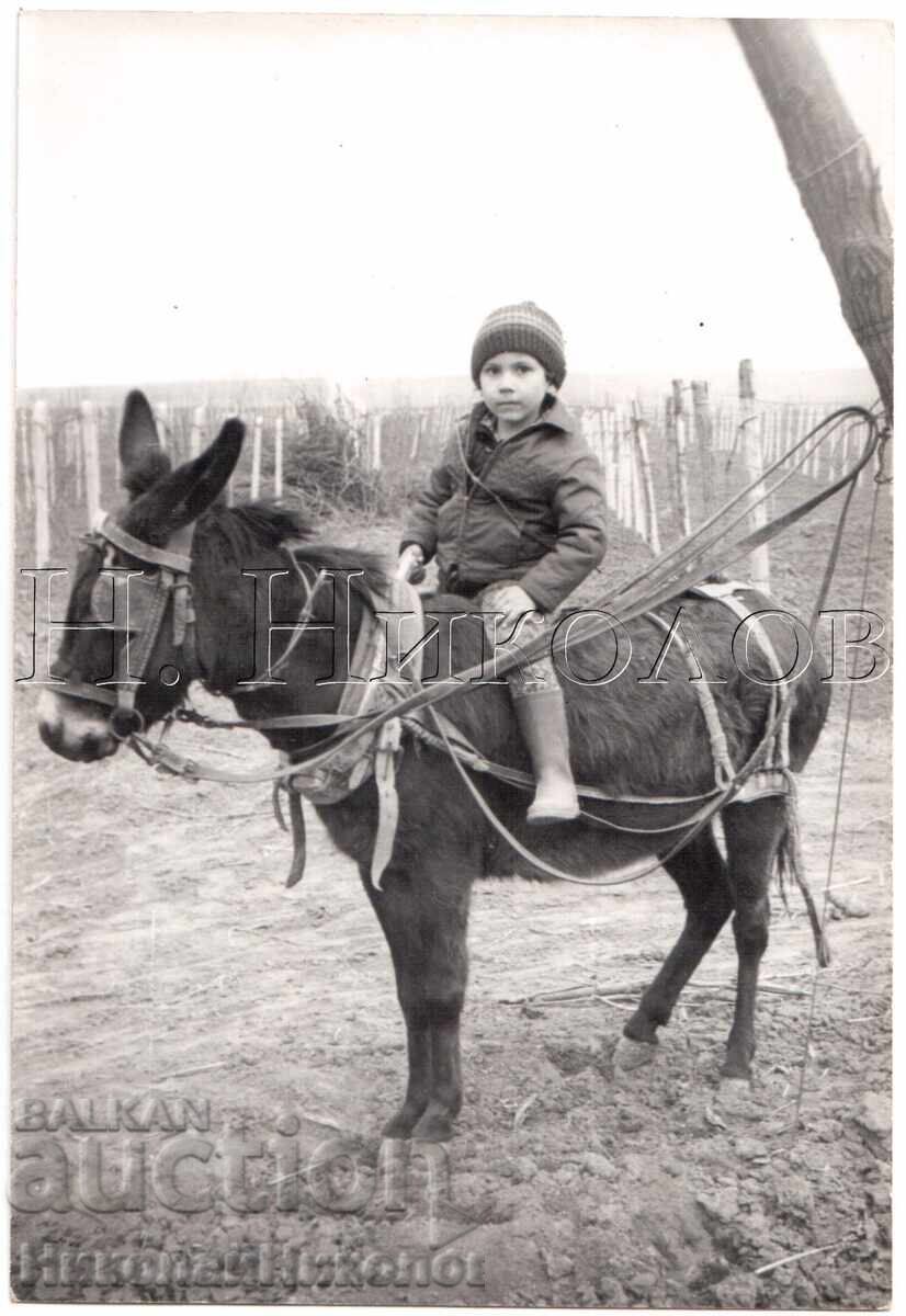 FOTOGRAFIE VECHE OBICEIURI ȘI TRADIȚII BULGARE TRIFON ZAREZAN E435 FOTOGRAFIE VECHE OBICEIURI ȘI TRADIȚII BULGARE TRIFON ZAREZAN E435