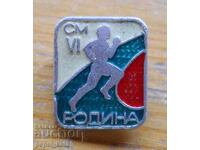 Badge "SM Rodina - VI"