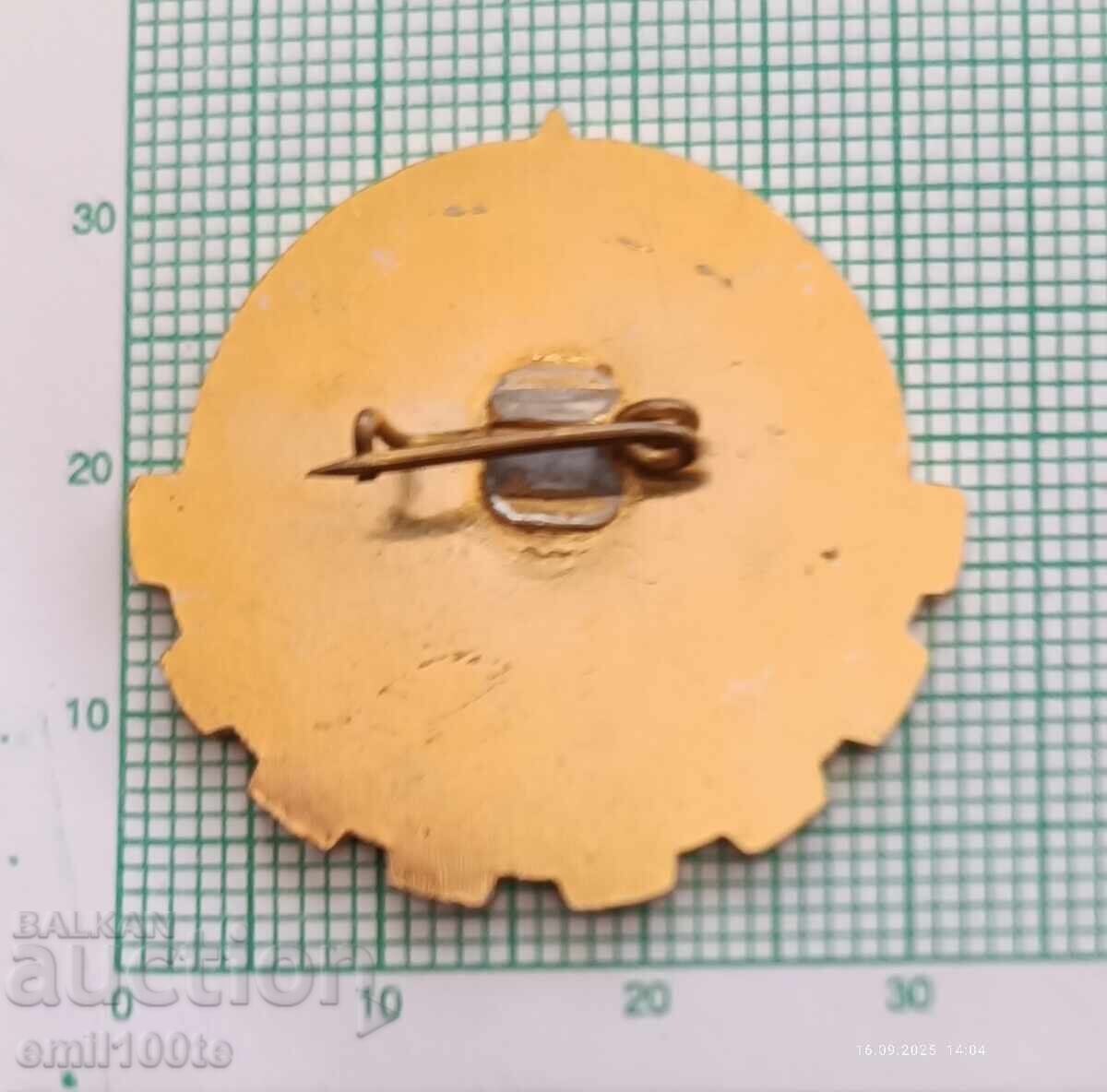 Livrarea Insigna - Pentru muncă îndelungată DSO Gospodăria Apelor