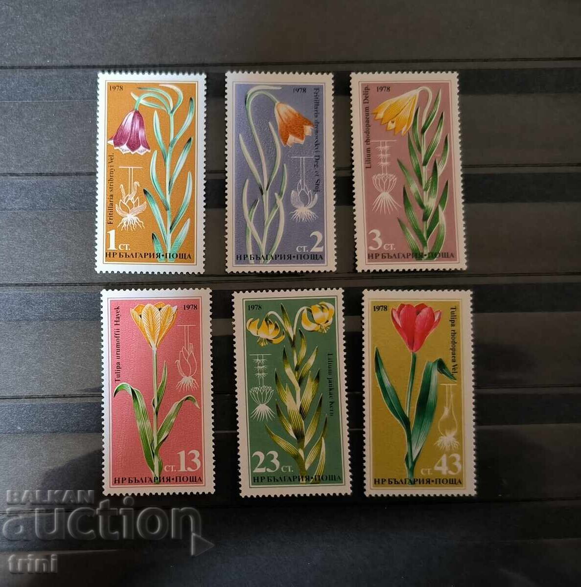 Bulgaria 1978 Flora - plante rare