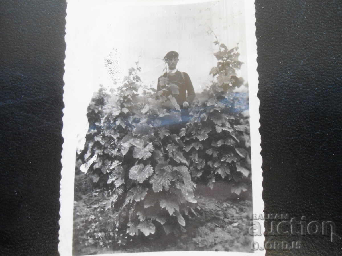 παλιά φωτογραφία παλιά φωτογραφία