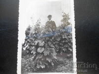 παλιά φωτογραφία