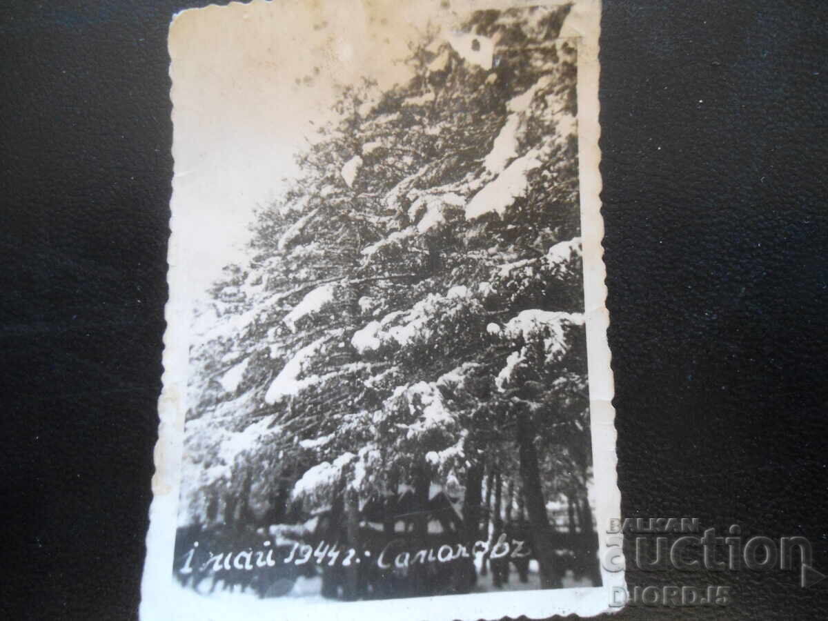 Old photo, May 1, 1944