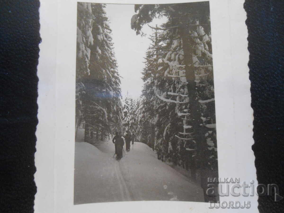 Παλιά φωτογραφία, 16.ΧΙ.1944, Σόφια