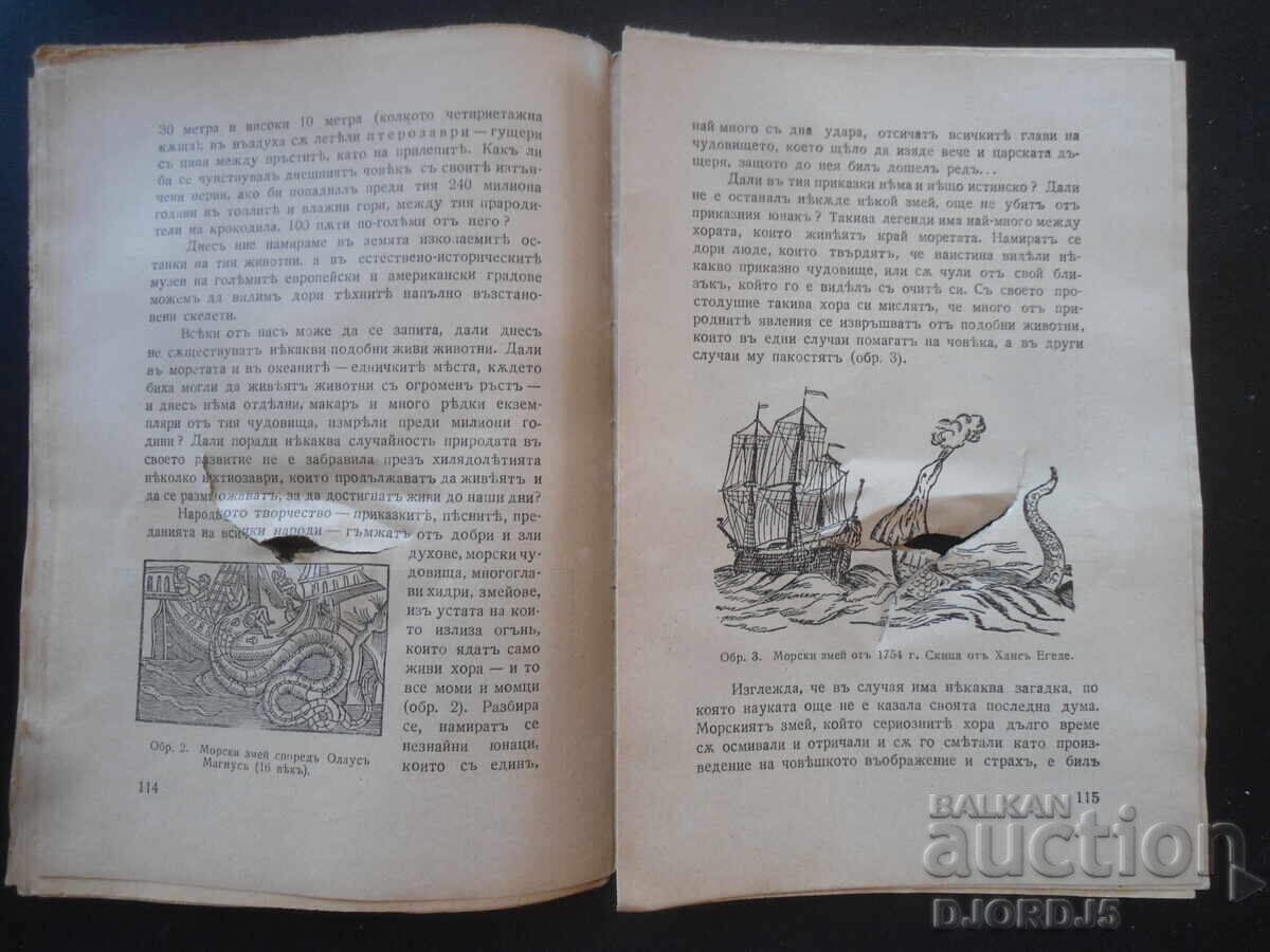 VENEC, Kn. 2, Noiembrie 1941 god - 5