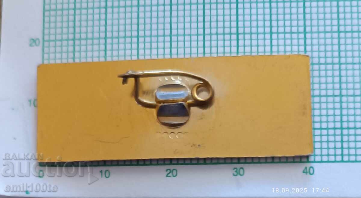 Delivery of Badge - newspaper Workers' Affairs