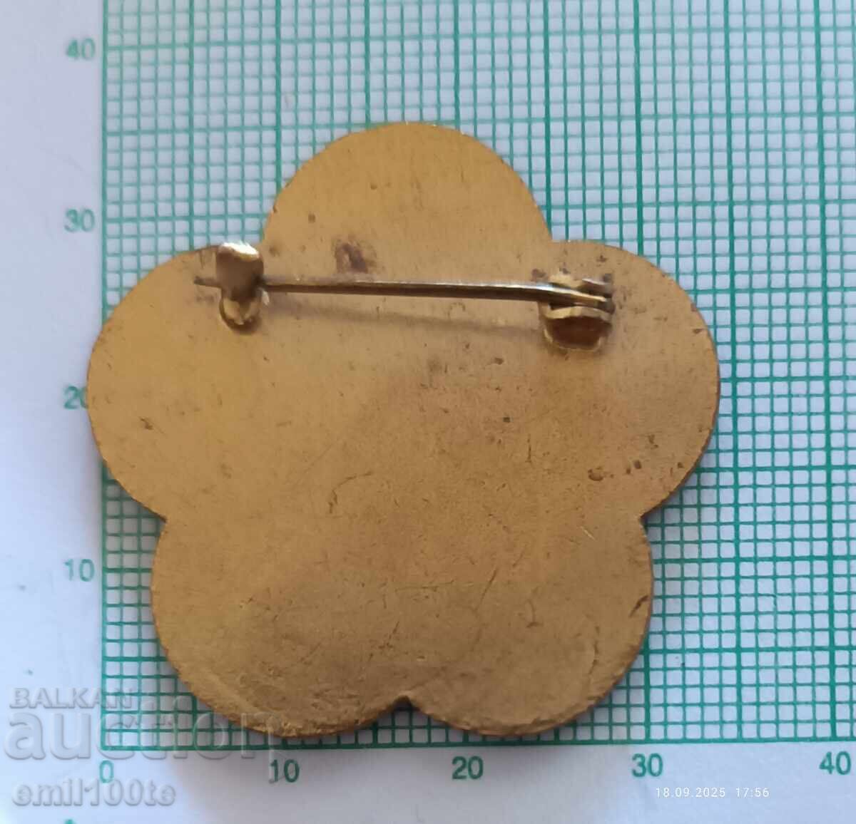 Delivery of Badge World Festival of Youth and Students Sofia 1968