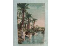 Carte poștală veche colorată