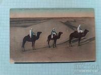 Carte poștală veche colorată